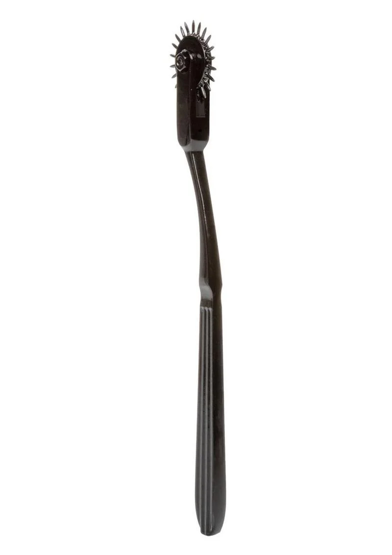 Boundless Pinwheel 22 Point Nickle-Free Alloy