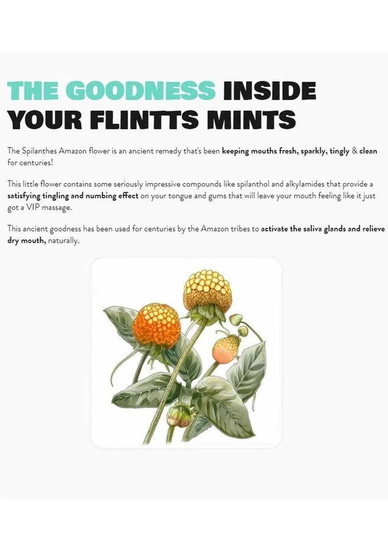 Flintts Mints Mouth Watering Oral Delights - Image 5