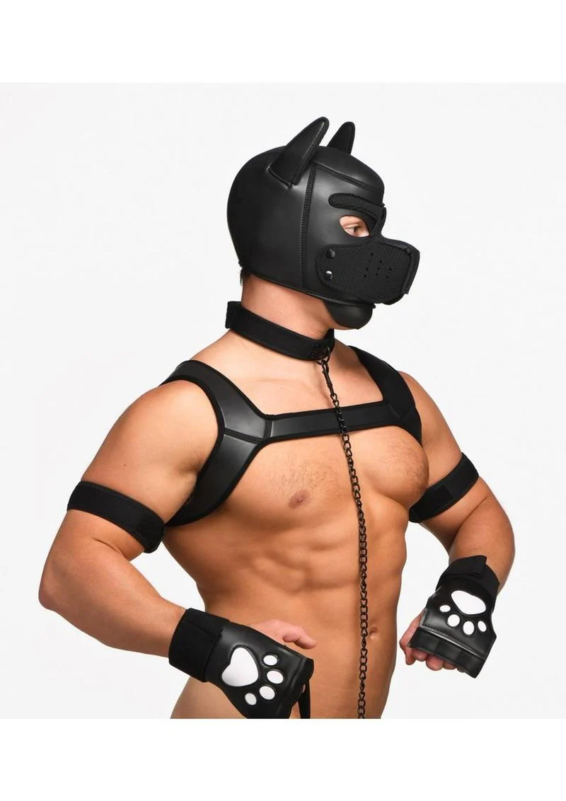 Master Series Deluxe Pup Arsenal - Image 4