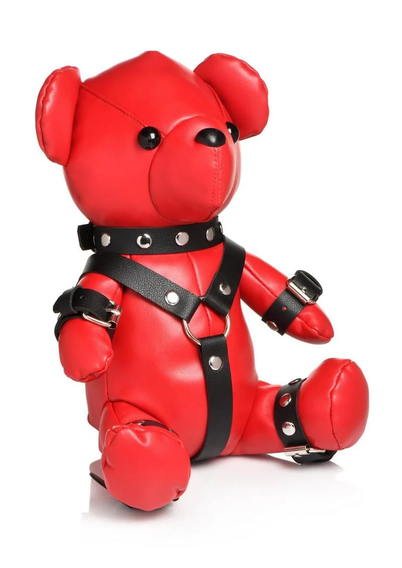 Master Series Gimp Bear - Image 4