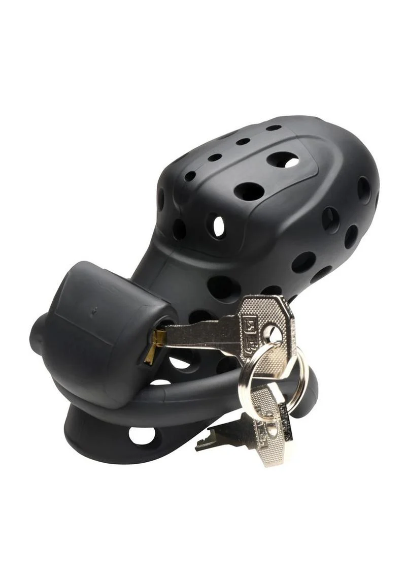 Master Series Lock Down Chastity Cage - Image 3