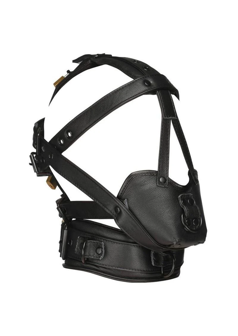 Master Series Lockable Head Harness with Muzzle