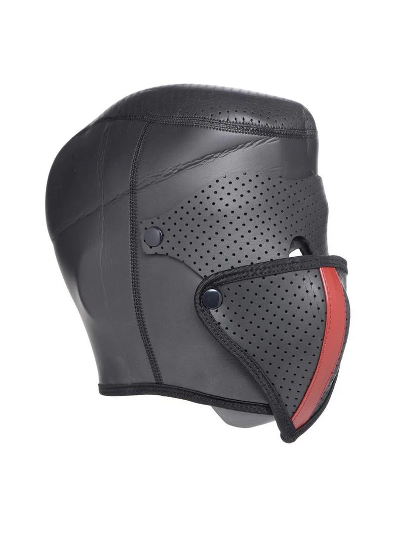 Master Series Scorpion Hood with Removable Blindfold and Face Mask - Image 3