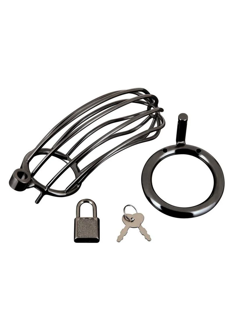 Prisoner Cock Cage - Image 2