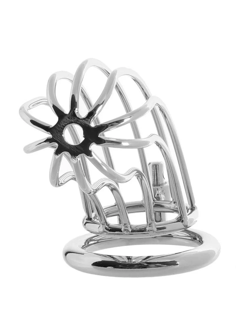 Prisoner Cock Cage - Image 4