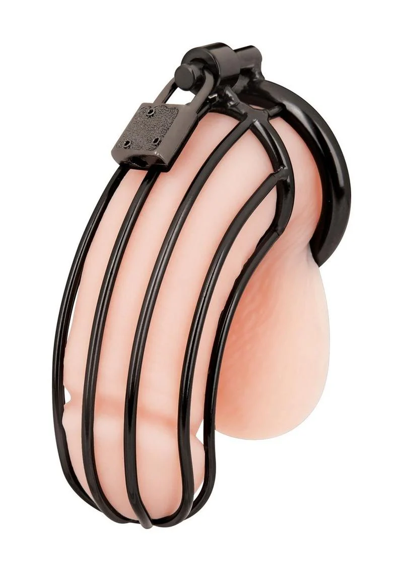 Prisoner Cock Cage - Image 7
