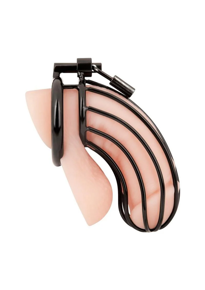 Prisoner Cock Cage - Image 8