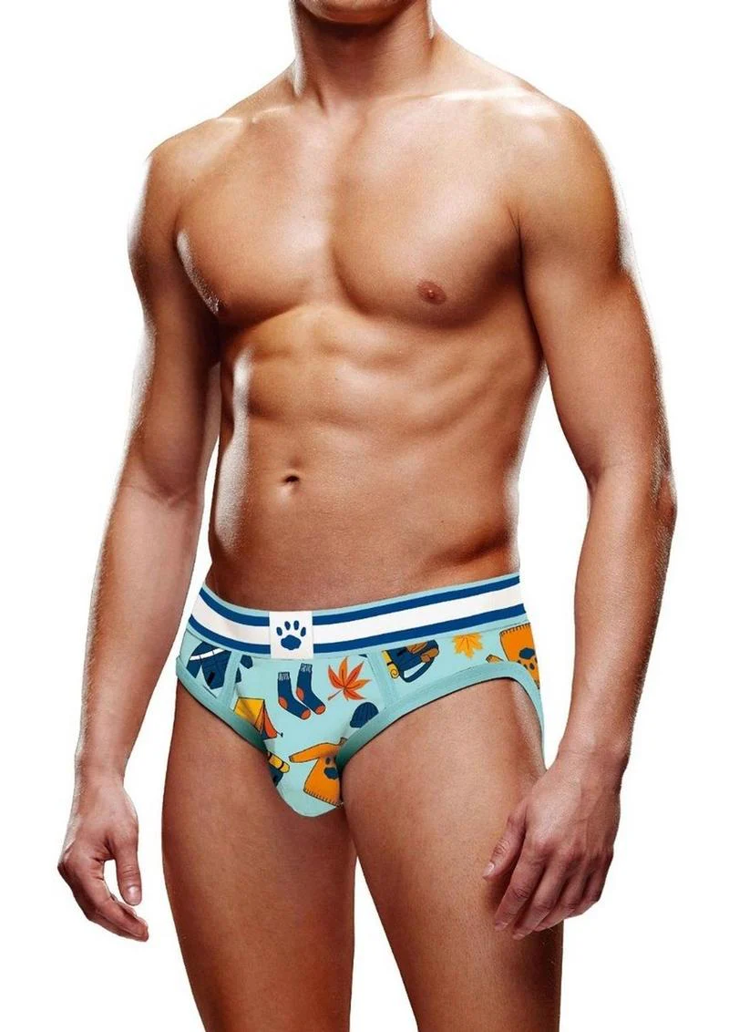Prowler Autumn Scene Brief - Image 2