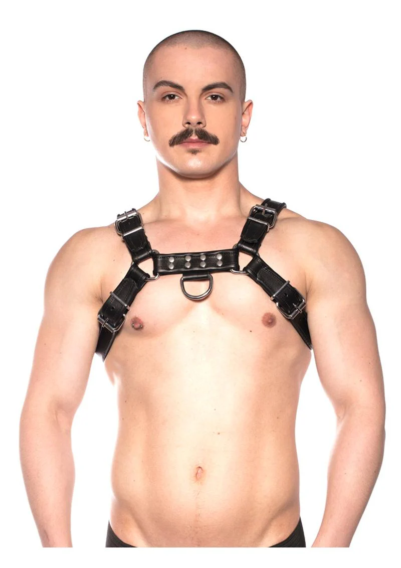 Prowler Red Bull Harness - Image 13