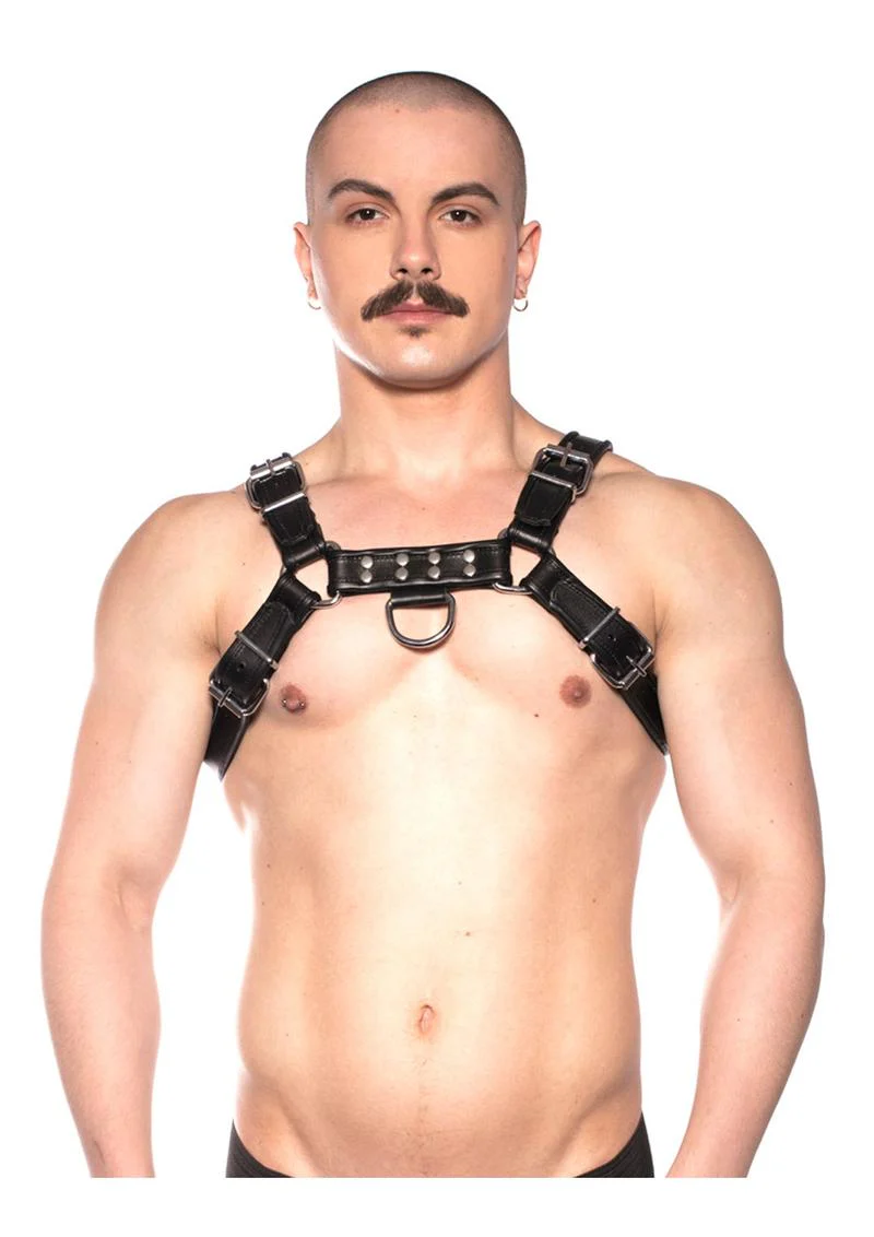 Prowler Red Bull Harness - Image 16