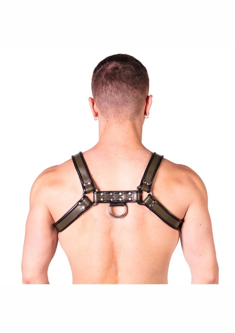 Prowler Red Bull Harness - Image 20