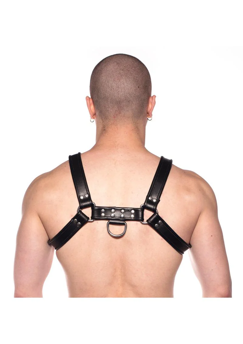 Prowler Red Bull Harness - Image 24