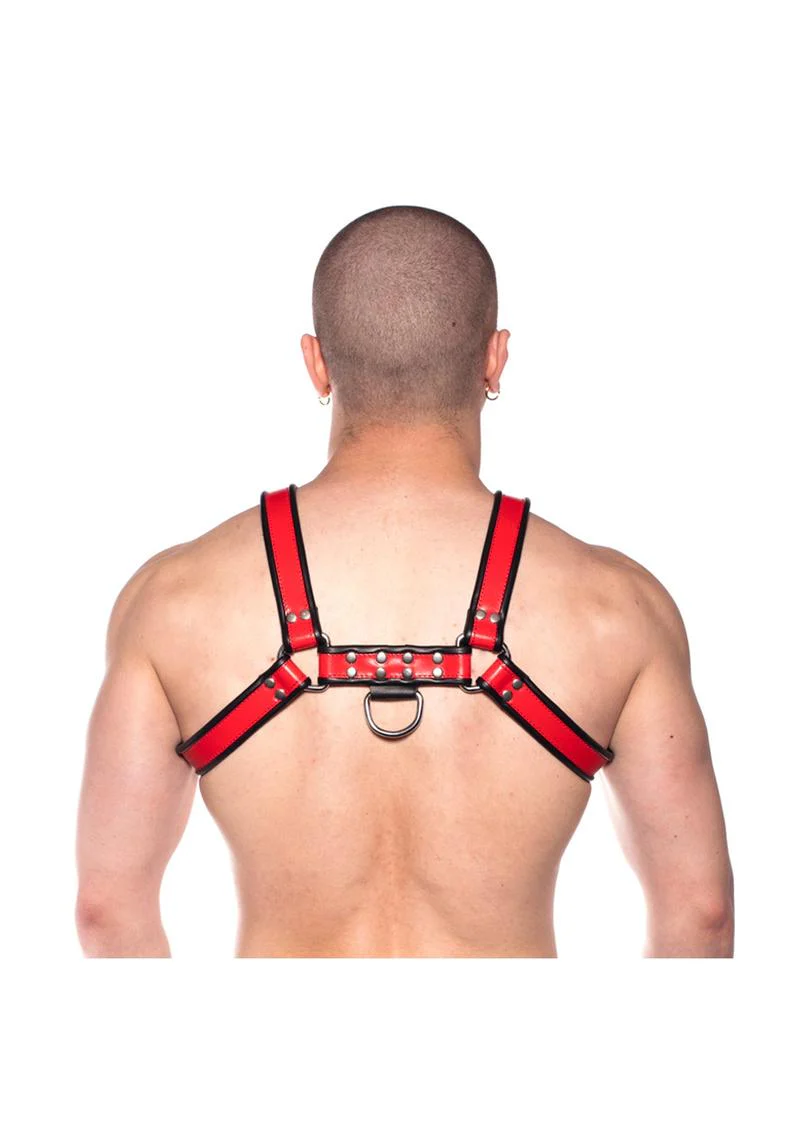 Prowler Red Bull Harness - Image 26