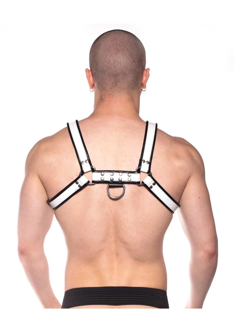 Prowler Red Bull Harness - Image 28