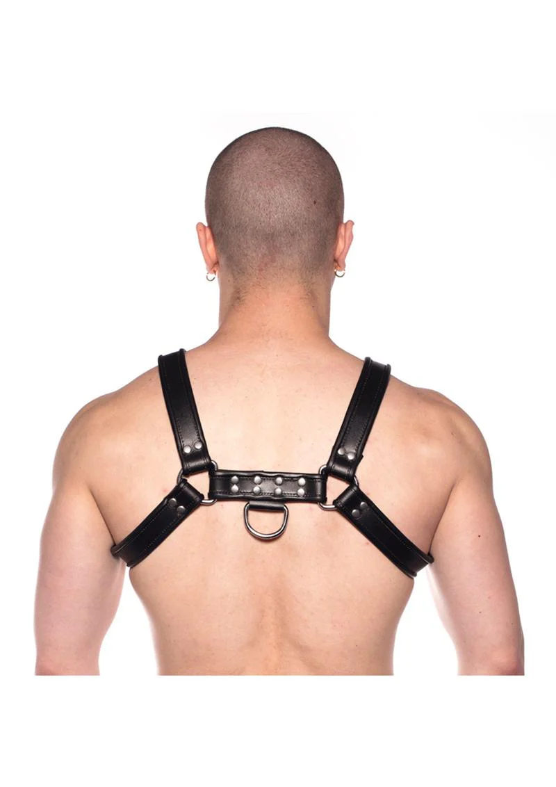 Prowler Red Bull Harness - Image 32