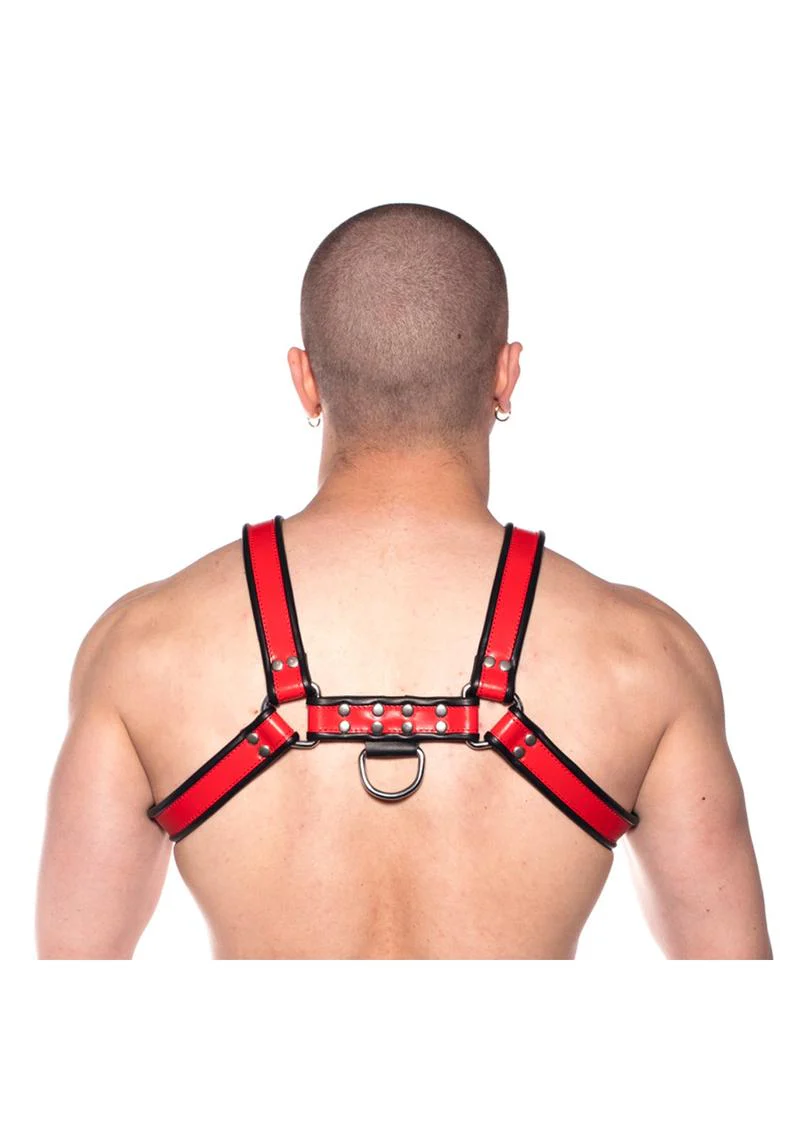 Prowler Red Bull Harness - Image 34