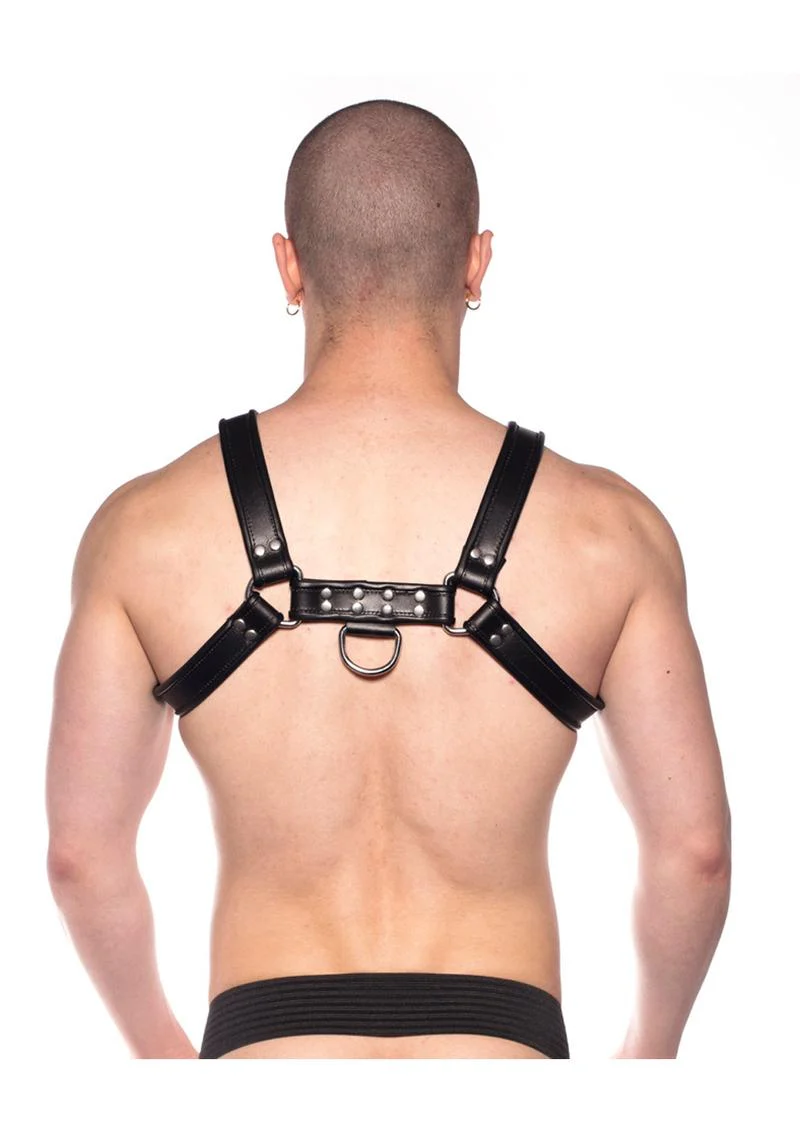 Prowler Red Bull Harness - Image 35