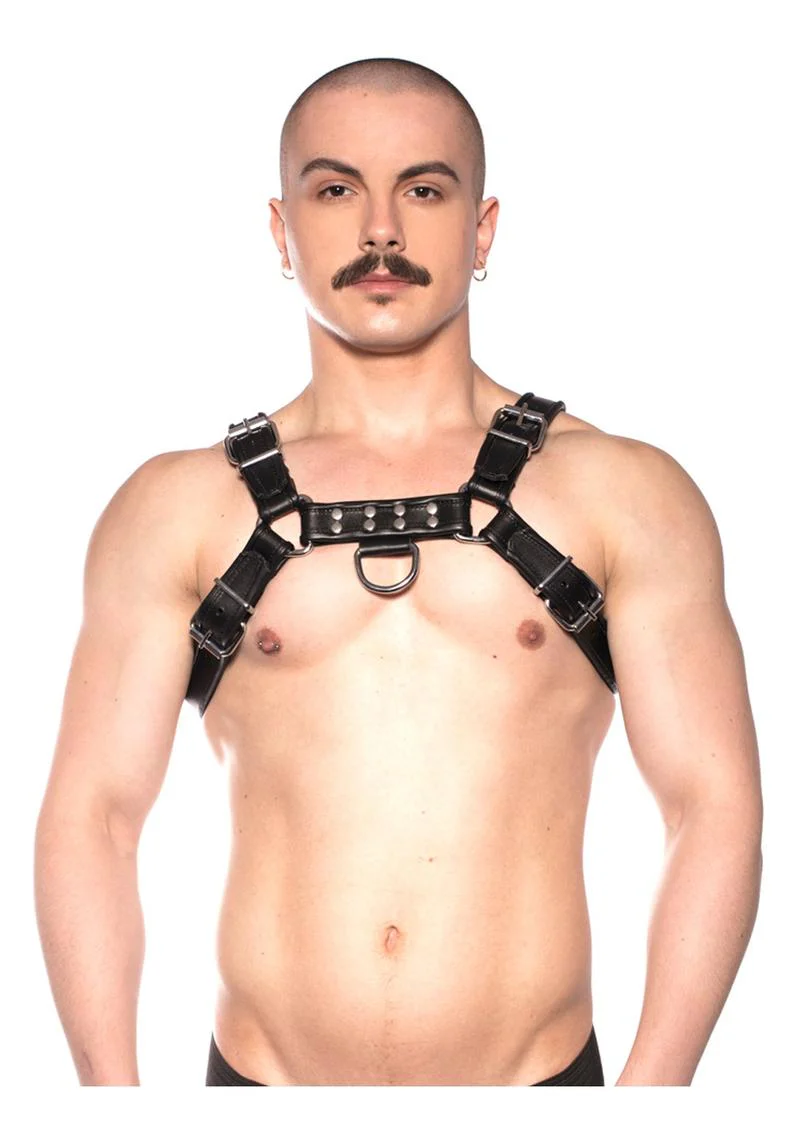 Prowler Red Bull Harness - Image 5