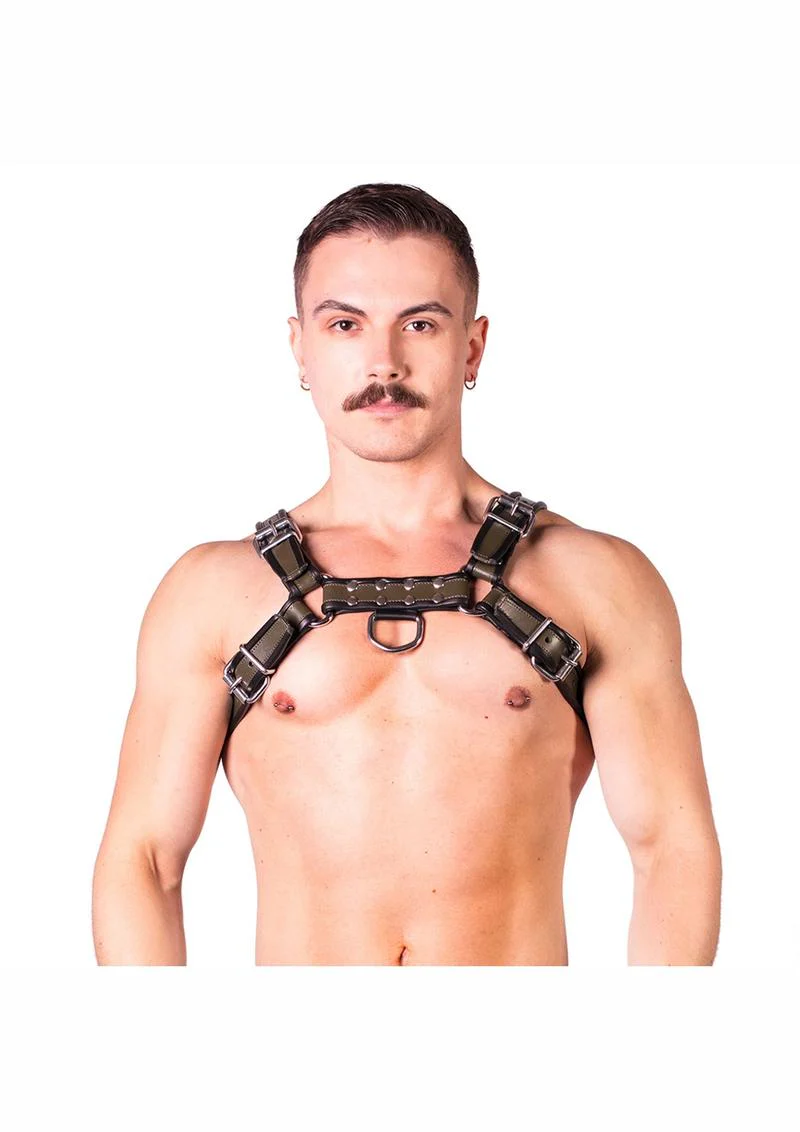 Prowler Red Bull Harness - Image 8