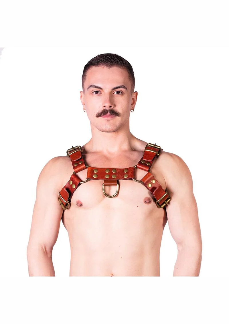 Prowler Red Butch Harness - Small - Brown/Brass