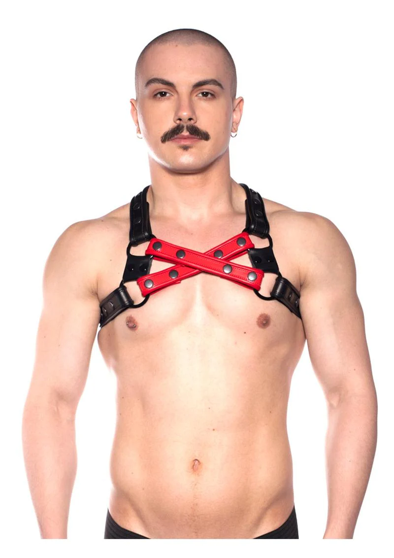 Prowler Red Cross Harness - Image 5