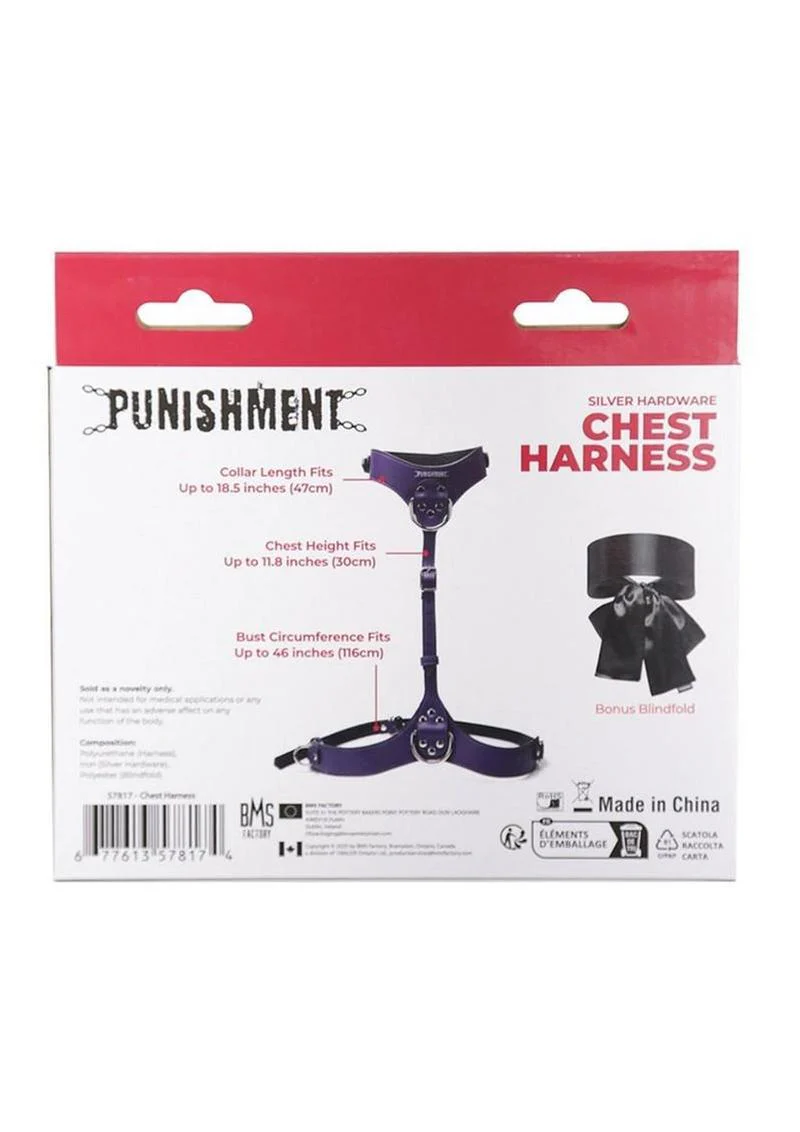 Punishment Body Harness - Image 4