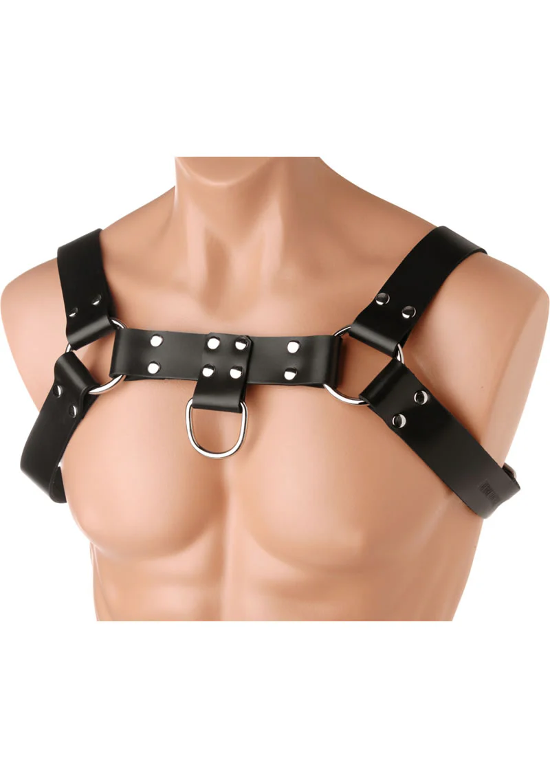 Strict Leather English Bull Dog Harness - Image 2