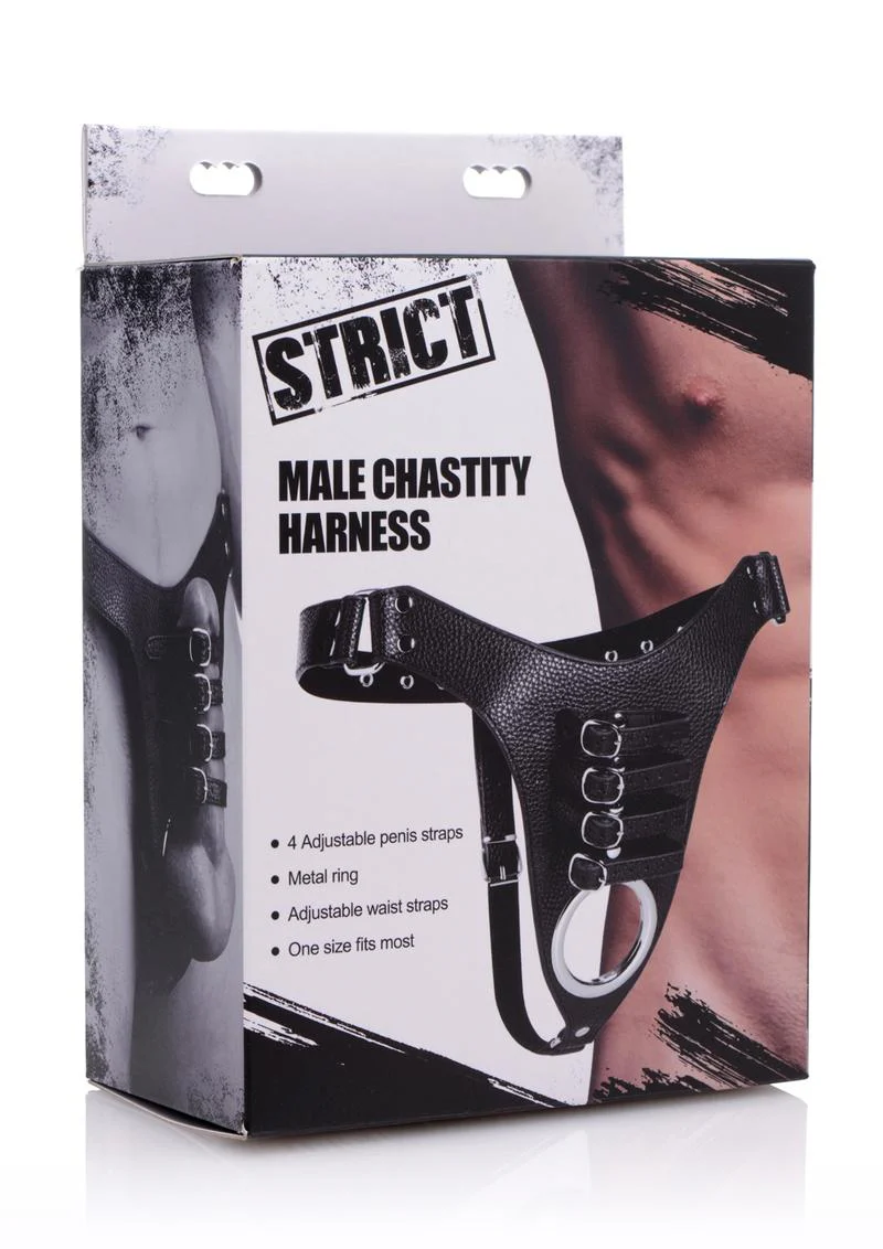 Strict Male Chastity Harness - Image 2