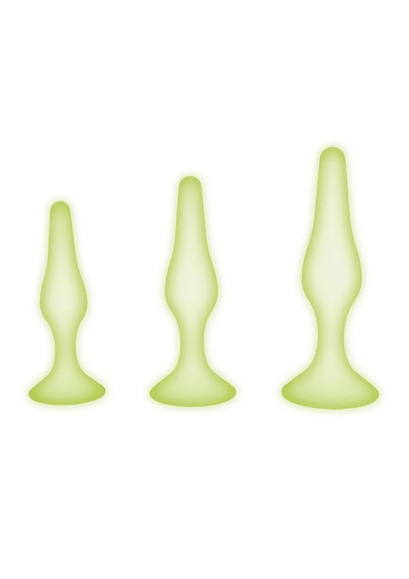 WhipSmart Glow In The Dark Silicone Anal Training Kit